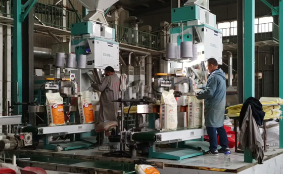 Mesin Pengepakan Butir Presisi Berat Tinggi DCS-50FB3+ 5 - 50KG Pengepakan Cepat