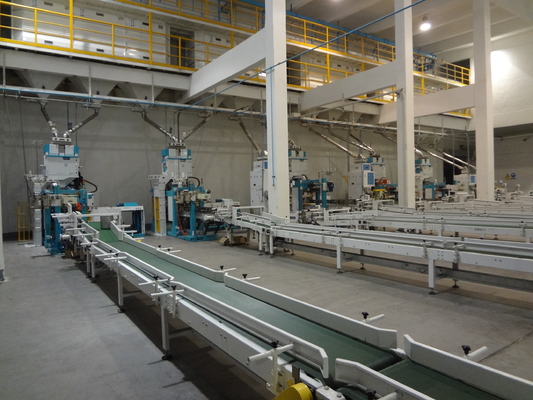 Servo Motion Multifungsi Garis Pengemasan Otomatis Converying Robot Palletzing System
